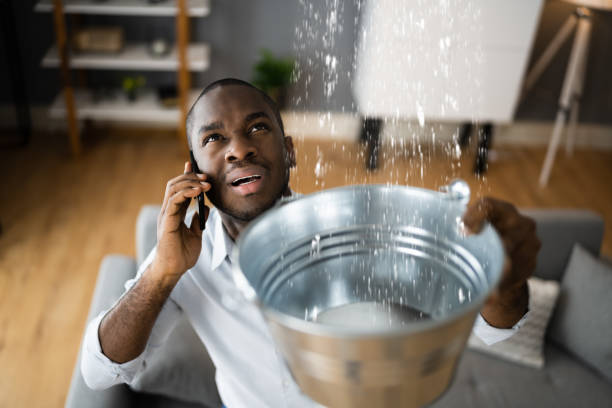 Best Mold removal after water damage  in Waterville, ME