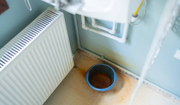 Best Carpet water damage restoration  in Waterville, ME