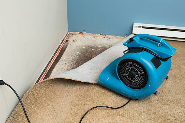 Best Water damage restoration near me  in Waterville, ME